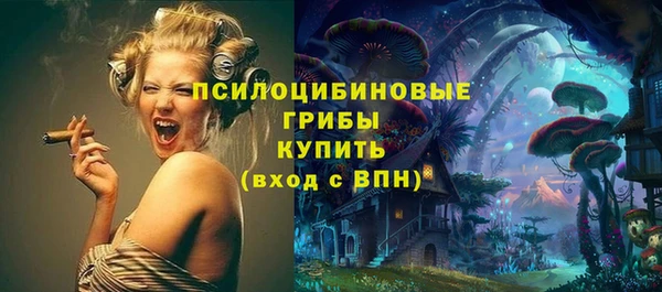 MDMA Premium VHQ Нязепетровск
