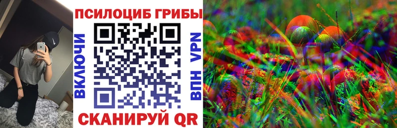 купить наркоту  Нюрба  Псилоцибиновые грибы Magic Shrooms 